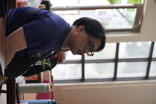 裝飾性圖片