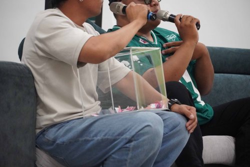 裝飾性圖片