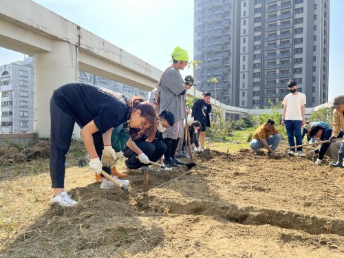 裝飾性圖片