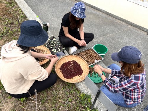 裝飾性圖片