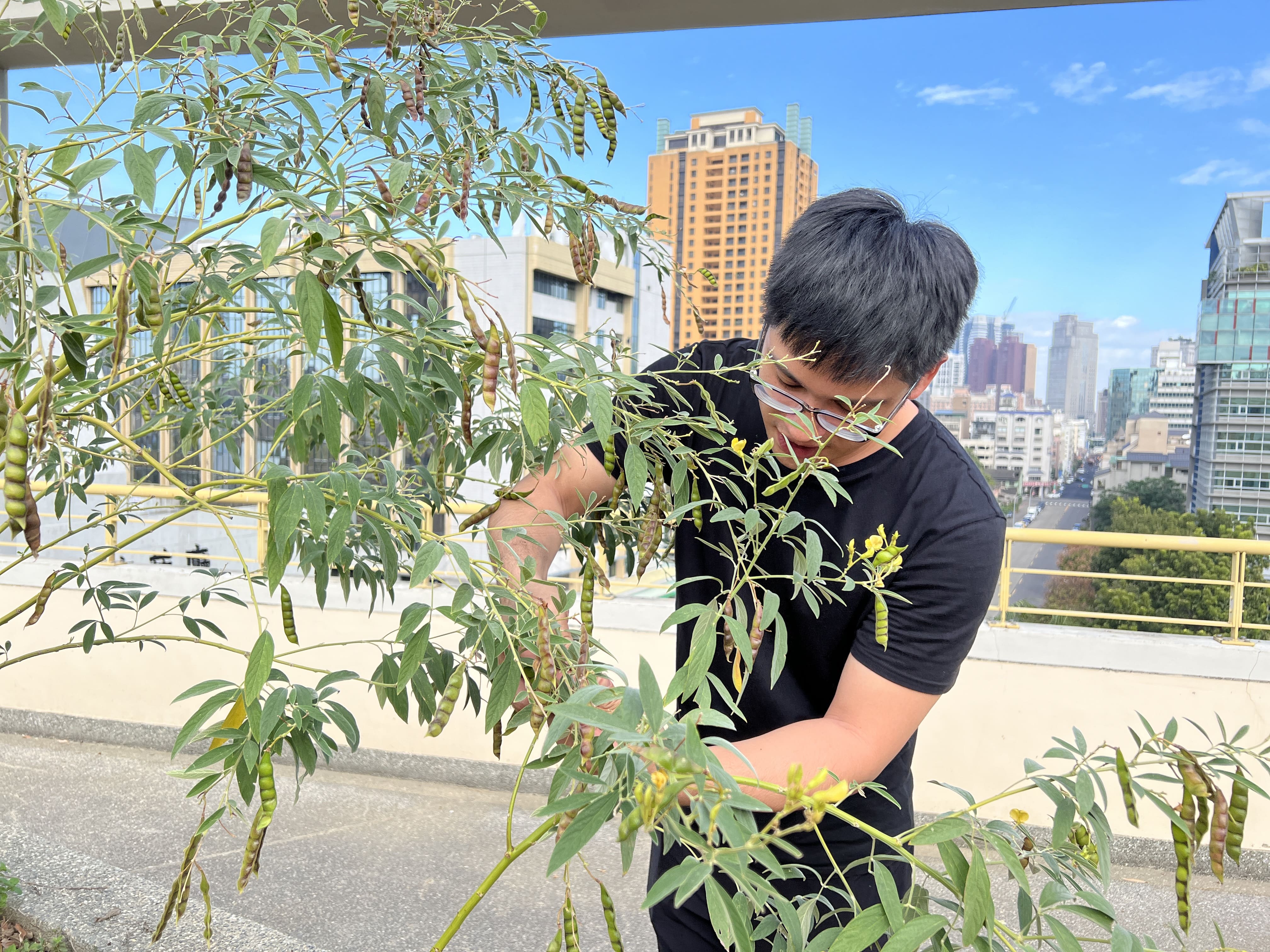 112樹豆工作坊 第4張