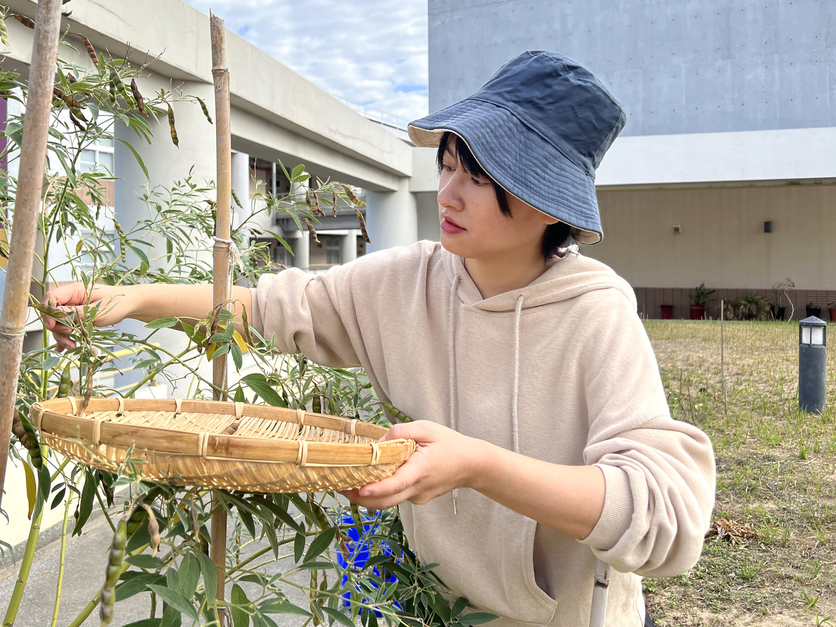 112樹豆工作坊 第6張