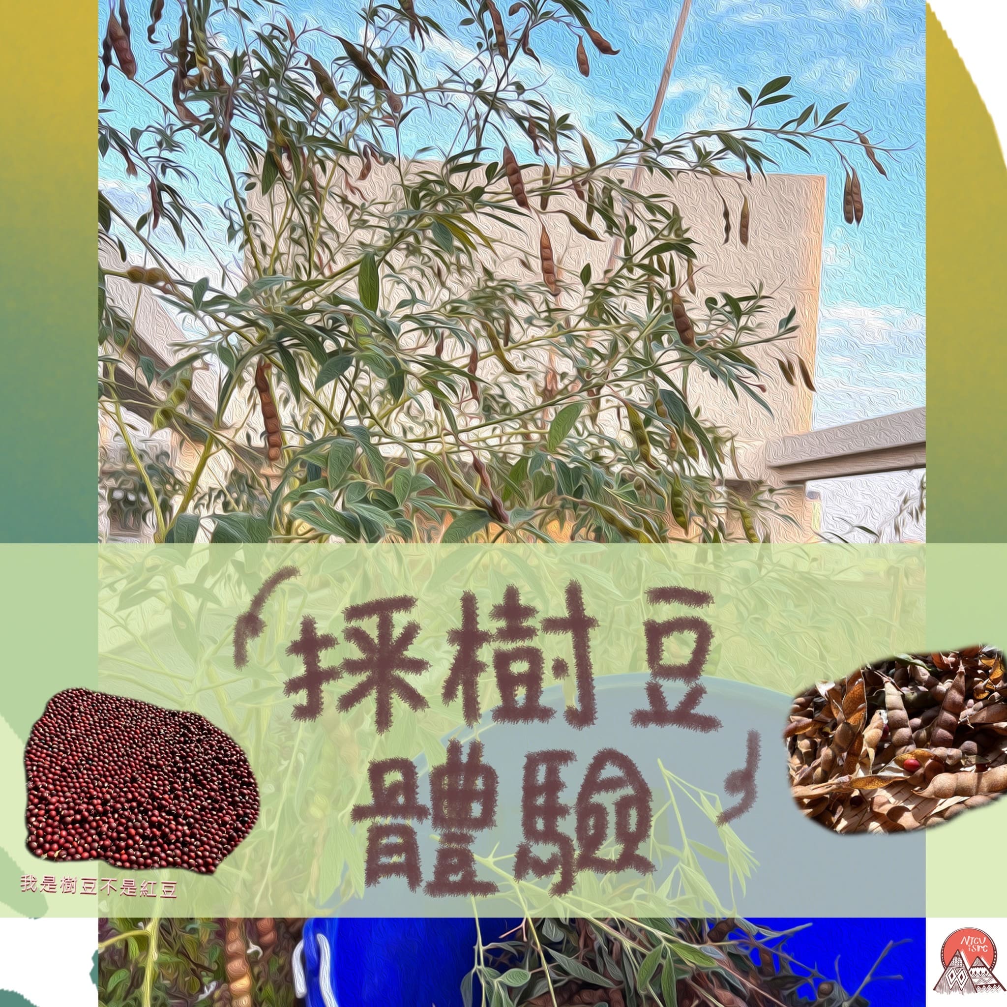 112樹豆工作坊 第7張