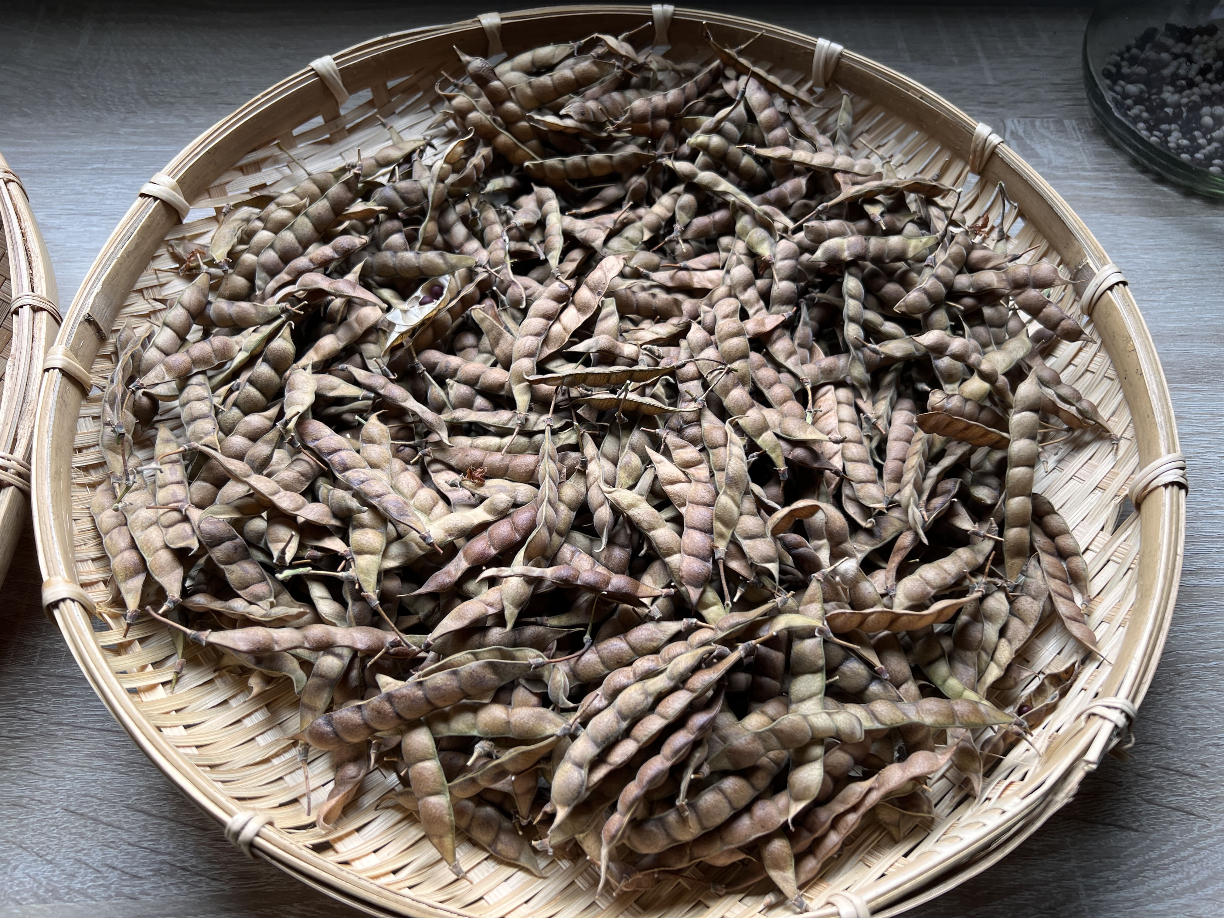 112樹豆工作坊 第8張