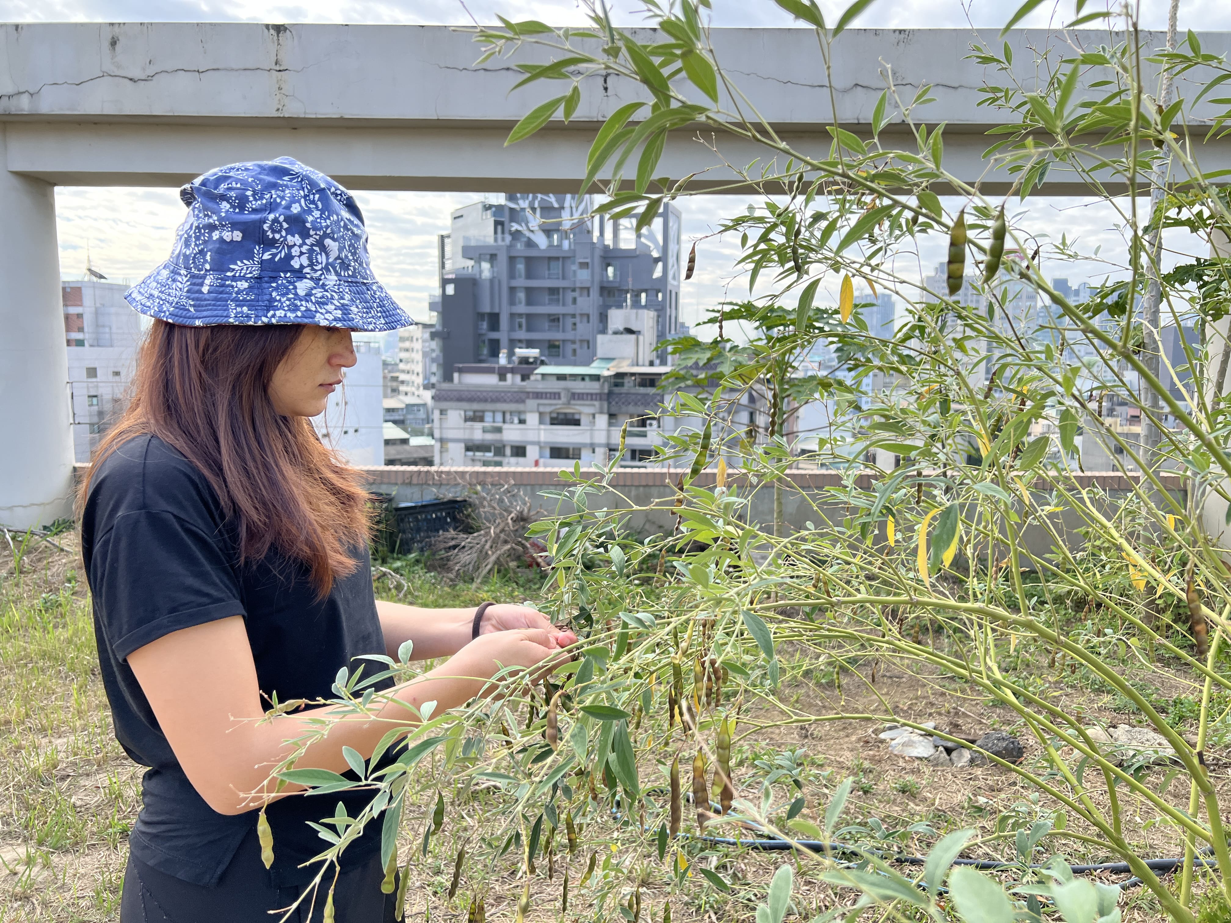 112樹豆工作坊 第3張